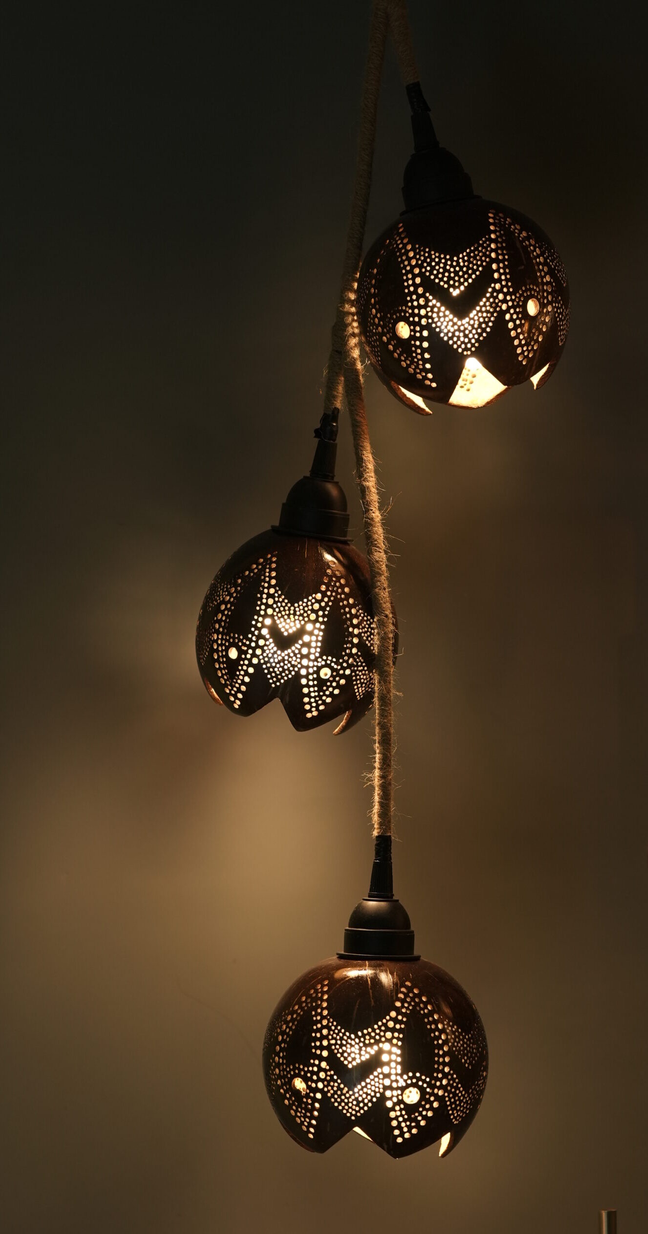 COCONUT SHELL LAMP SHADES